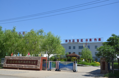 公司簡介